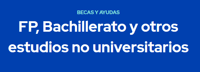becas estudiantes MEC Colegio Parra